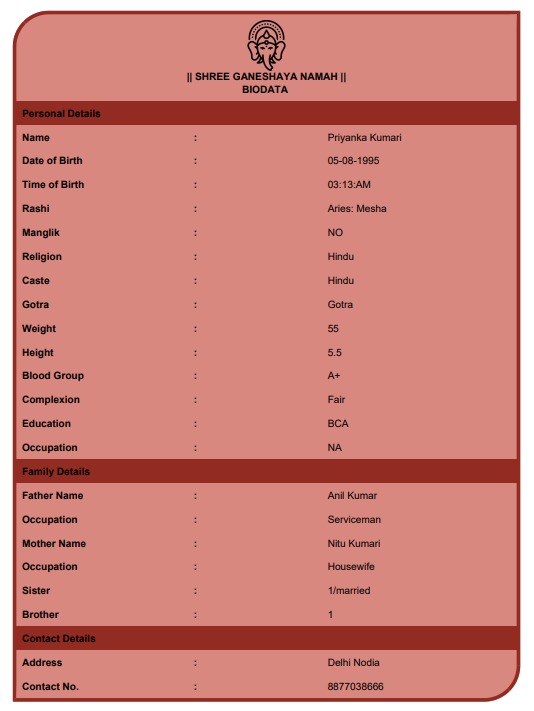 hindu-marriage-biodata-red